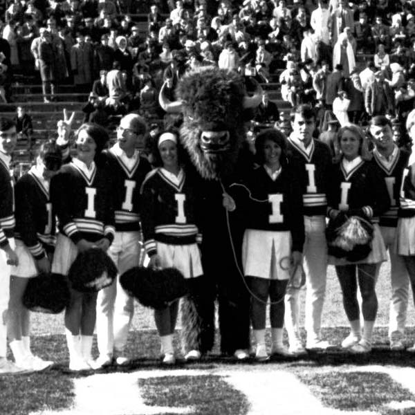 A bison appears on the field with the IU cheerleading team